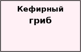 Кефирный гриб